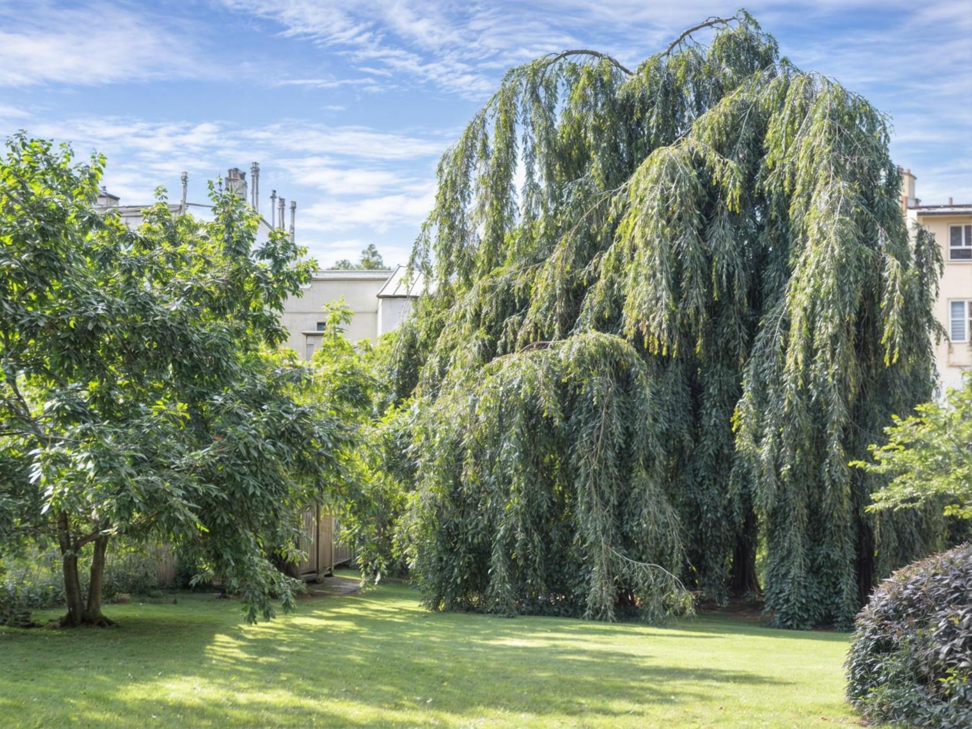 L'Orangerie White Palacio แวร์ซาย ภายนอก รูปภาพ